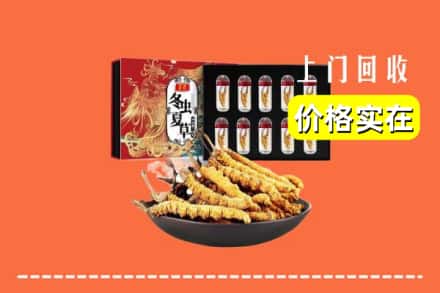 吕梁石楼县回收冬虫夏草